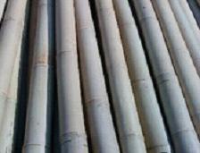  HBF-PL016(Bamboo fishing rods)
