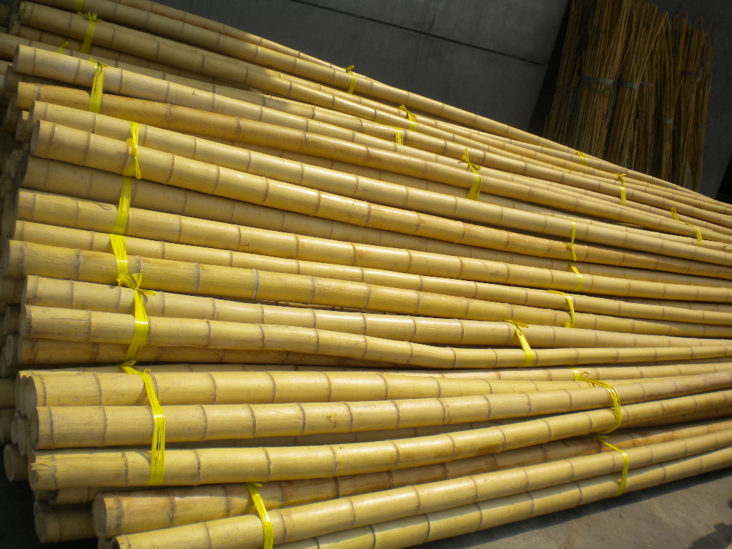 HBF-PL002 (Moso Bamboo)