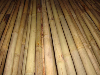 HBF-PL005-2(Tonkin-bamboo)