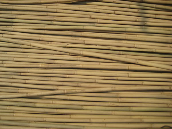 HBF-PL005(Tonkin bamboo)