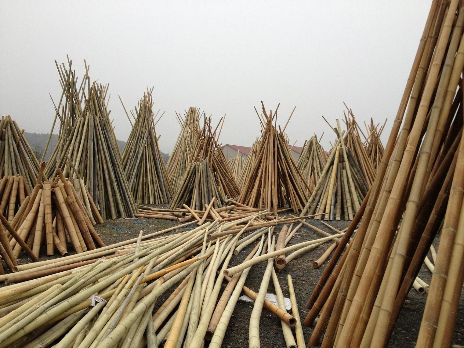 Bamboo dry